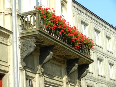 Shutters city kamienica