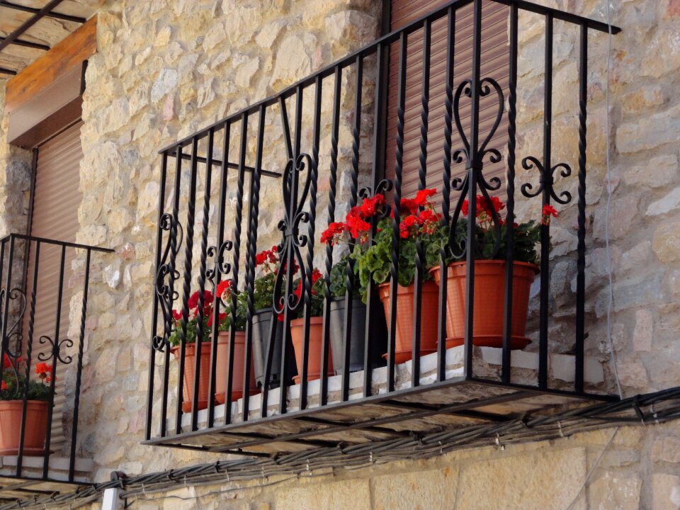 Geraniums house architecture
