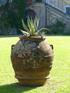Tuscany garden antique
