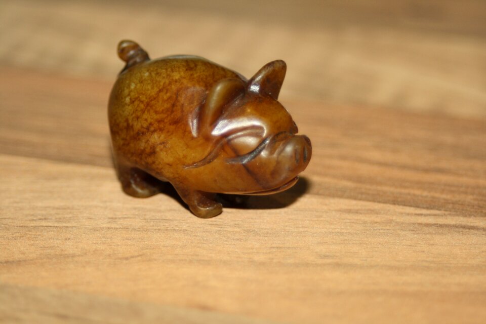 Lucky charm stone lucky pig