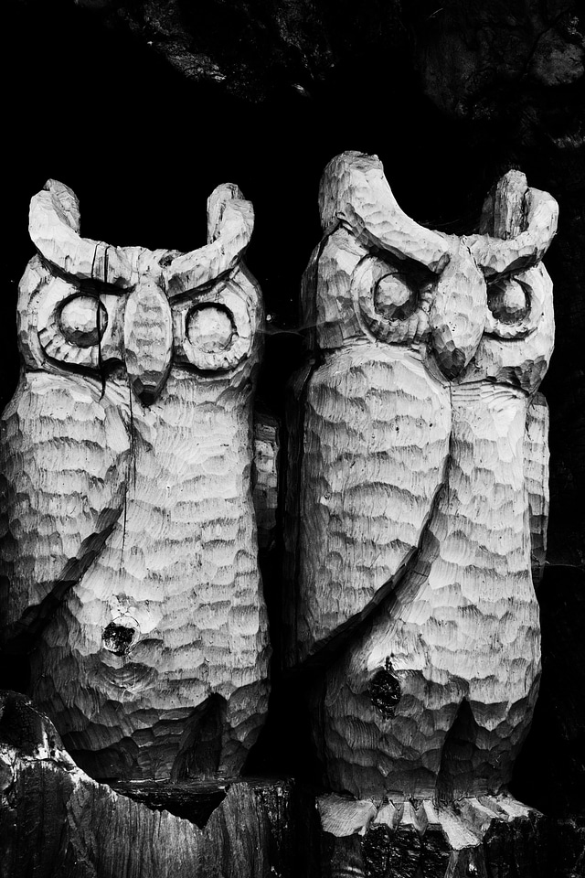 Black white carved