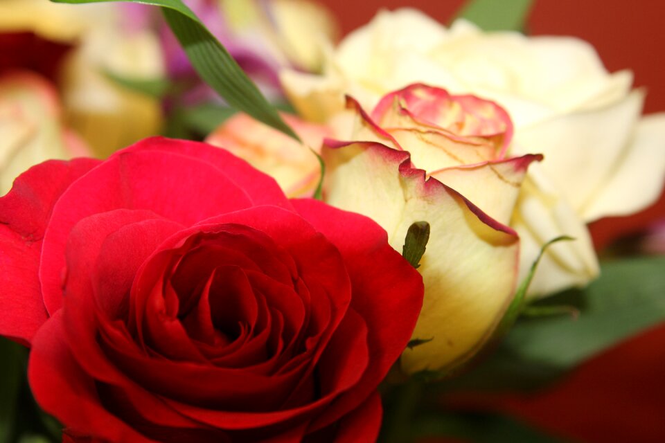 Floral bouquet white