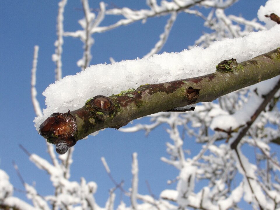 Cold snowy white