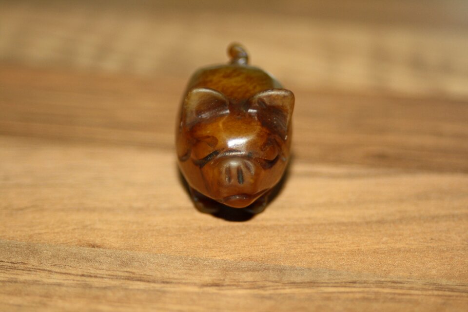 Lucky charm stone lucky pig