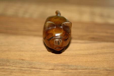 Lucky charm stone lucky pig