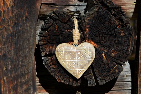 Heart wood brown