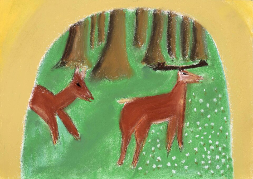 Forest animals red deer