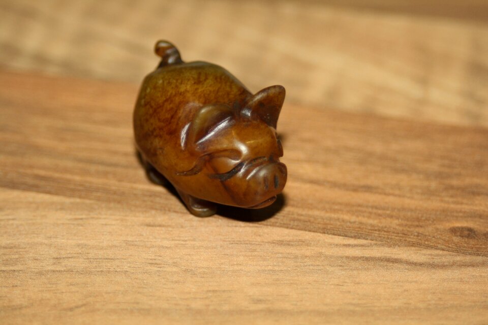 Lucky charm stone lucky pig
