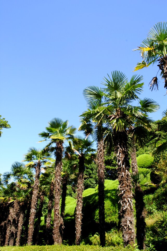 Sky tropical blue