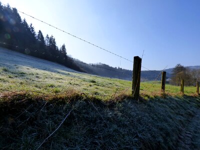 Frozen barbed wire morning
