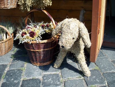 Basket straw dog pavers