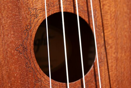 Hollow wood instrument