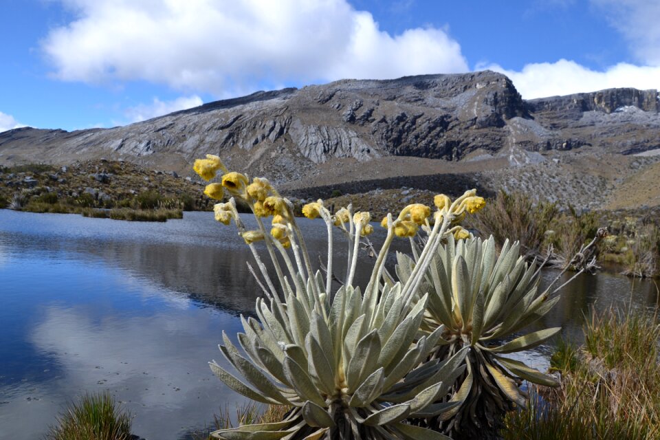 Trekking hiking laguna