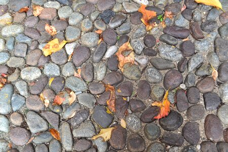Texture stones dead leaf