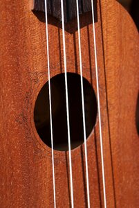 Hollow wood instrument photo