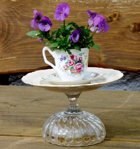 Cup and saucer atmosphere romantic photo