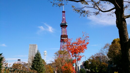 Tv tower boulevard odori park photo