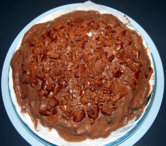 Gastronomy dish kitchen