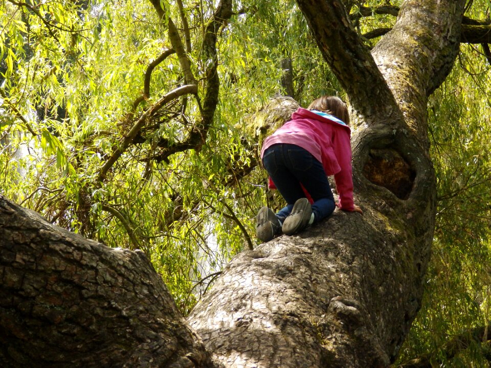Girl climbing tree