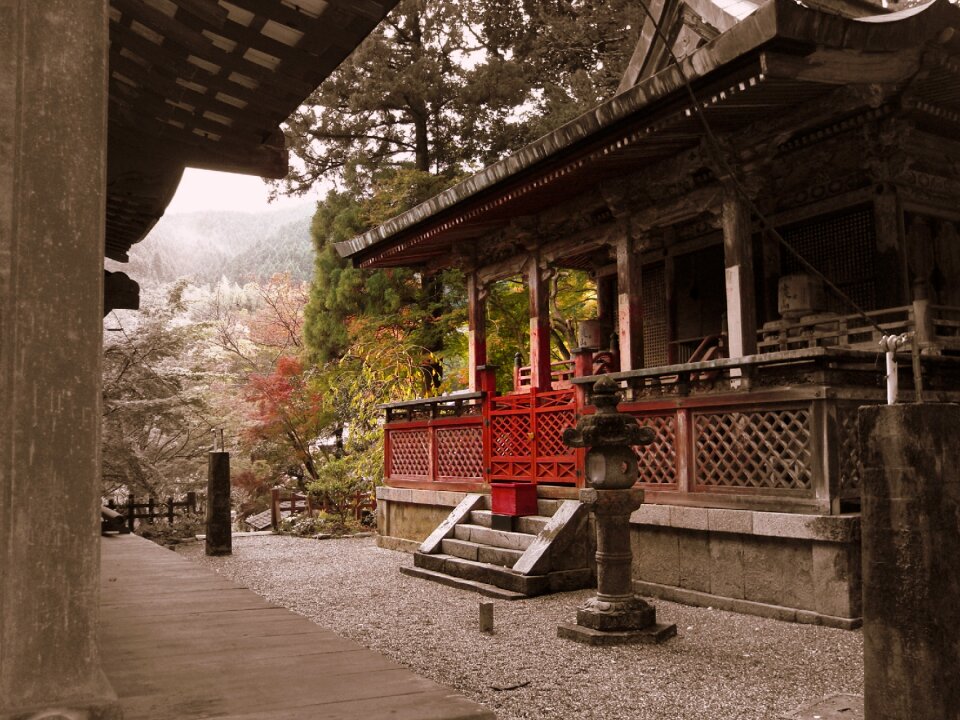 Culture red