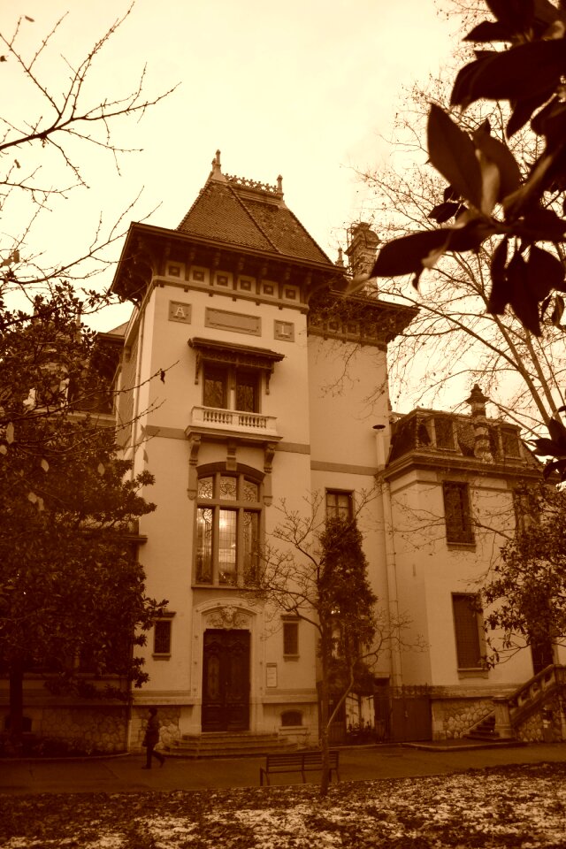 Sepia lyon lumière brothers