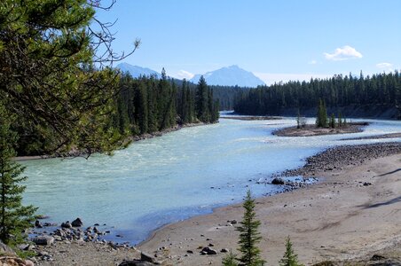 Alberta canada nature
