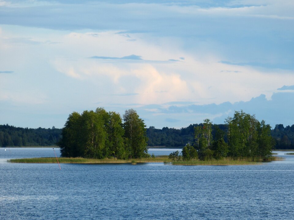 Nature island forest