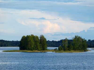 Nature island forest