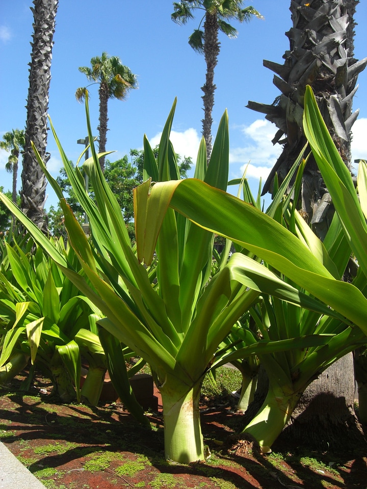Natural desert landscape