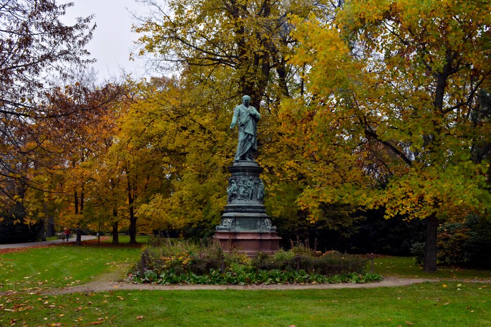 Trees foliage autumn
