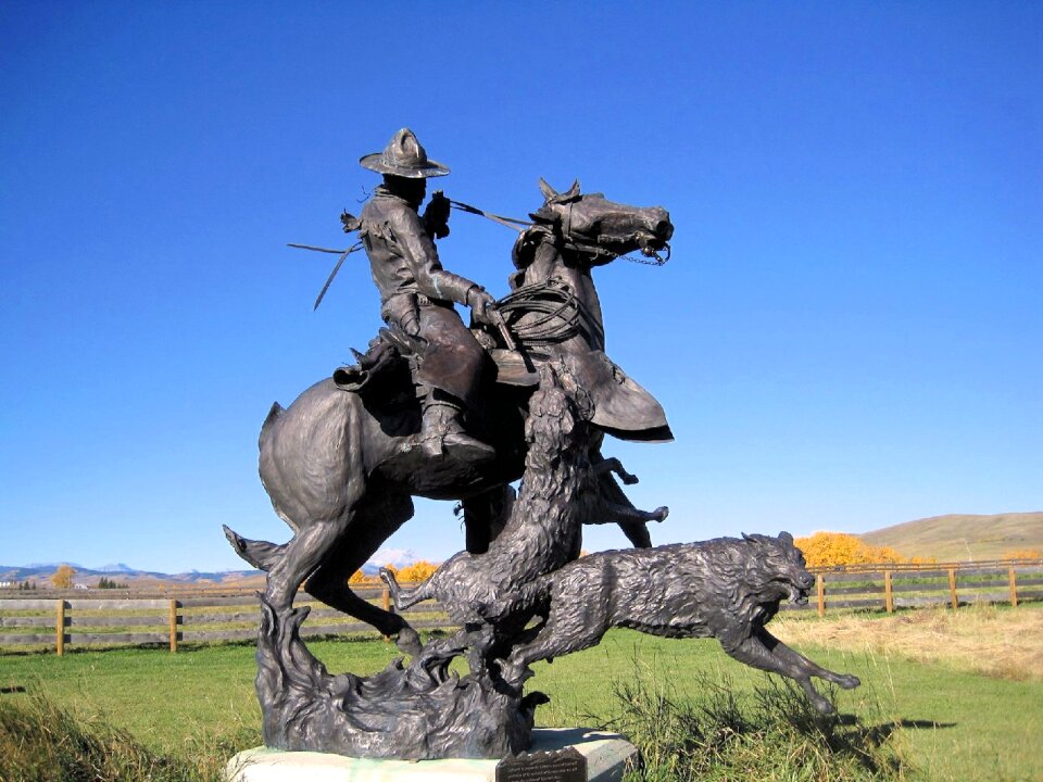 Cowboy alberta canada