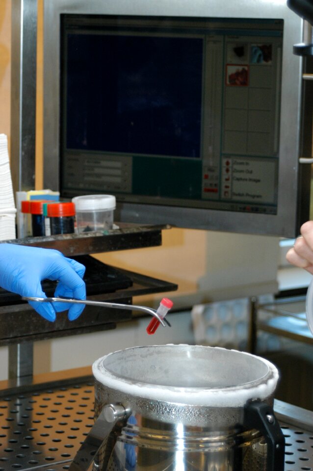 Biobank research