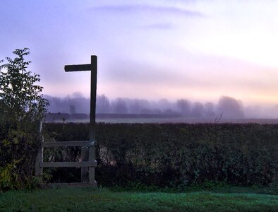 Misty mist nature photo