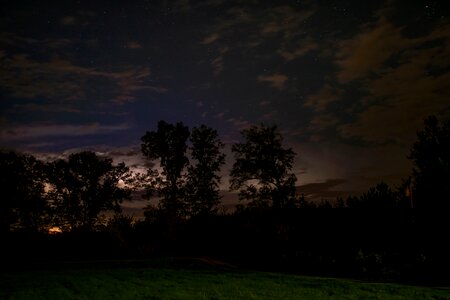 Nightsky trees silhouettes