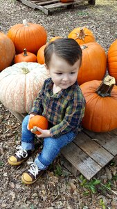 Fall boy