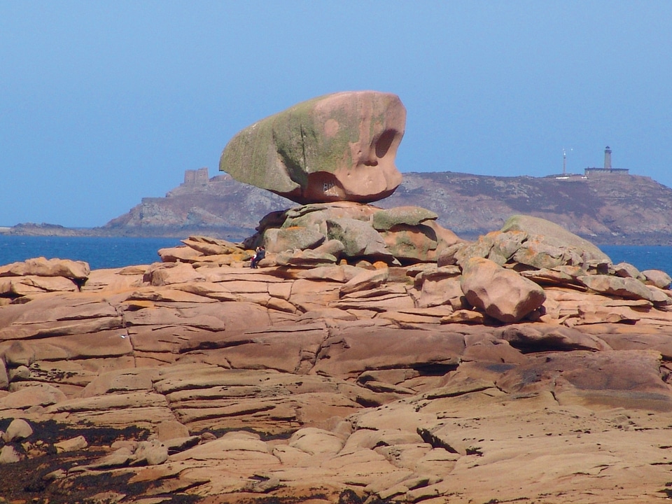 Alien head sea