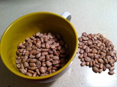 Diet legume