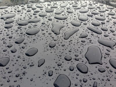 Drops rain water photo