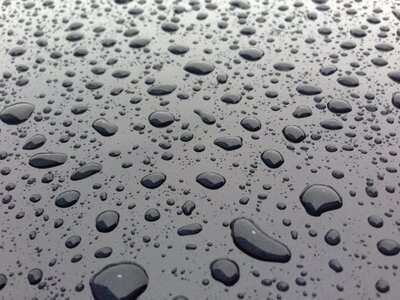 Drops rain water photo