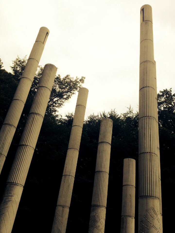 Poles odense forest lake