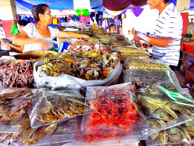 Seafood dry food photo