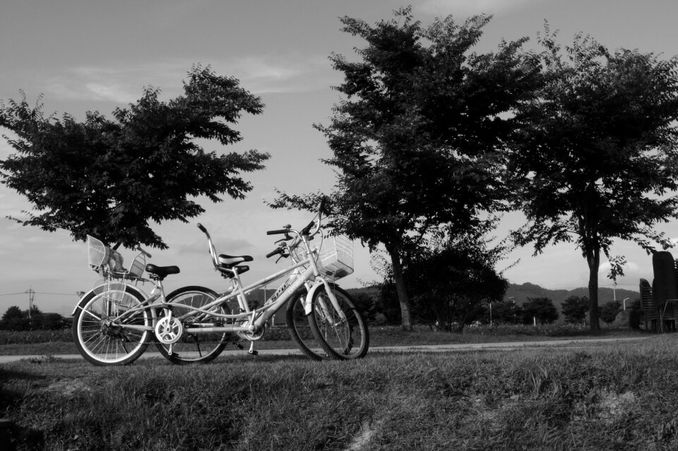 Black and white memory love