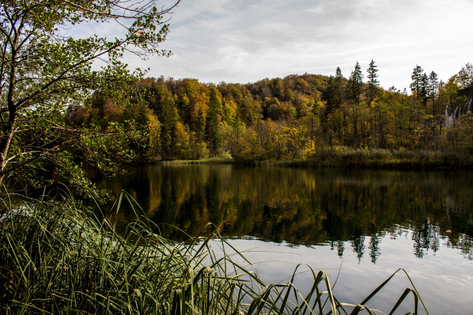 Landscape nature park