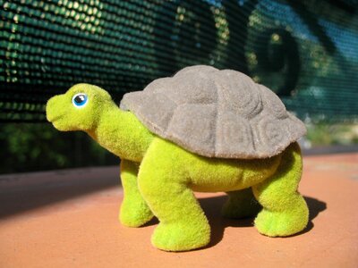 Turtle toy reptile