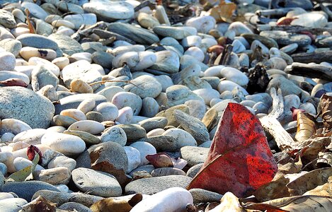 Sunlight stone beach