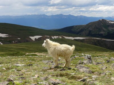 Mountain outdoor nature