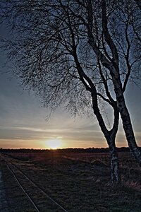 A formative mood moor