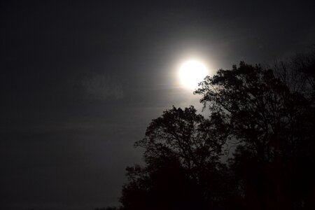 Moonlight sky shadow photo