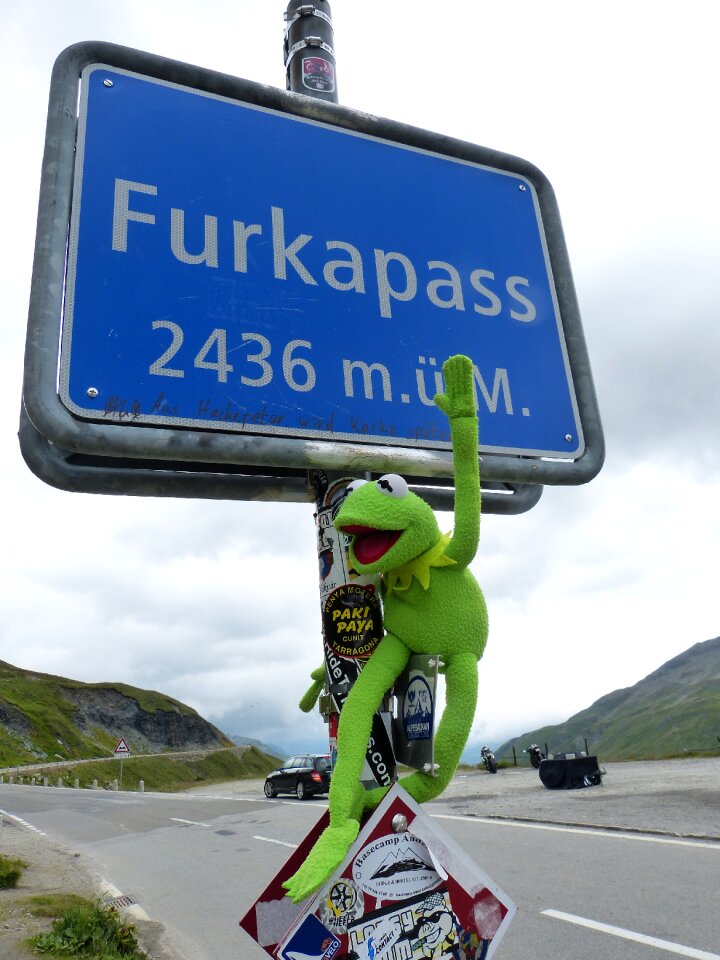 Kermit frog switzerland