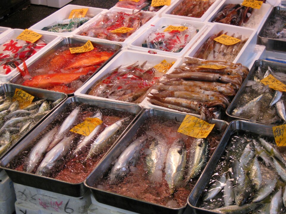 Market tsukiji tourist